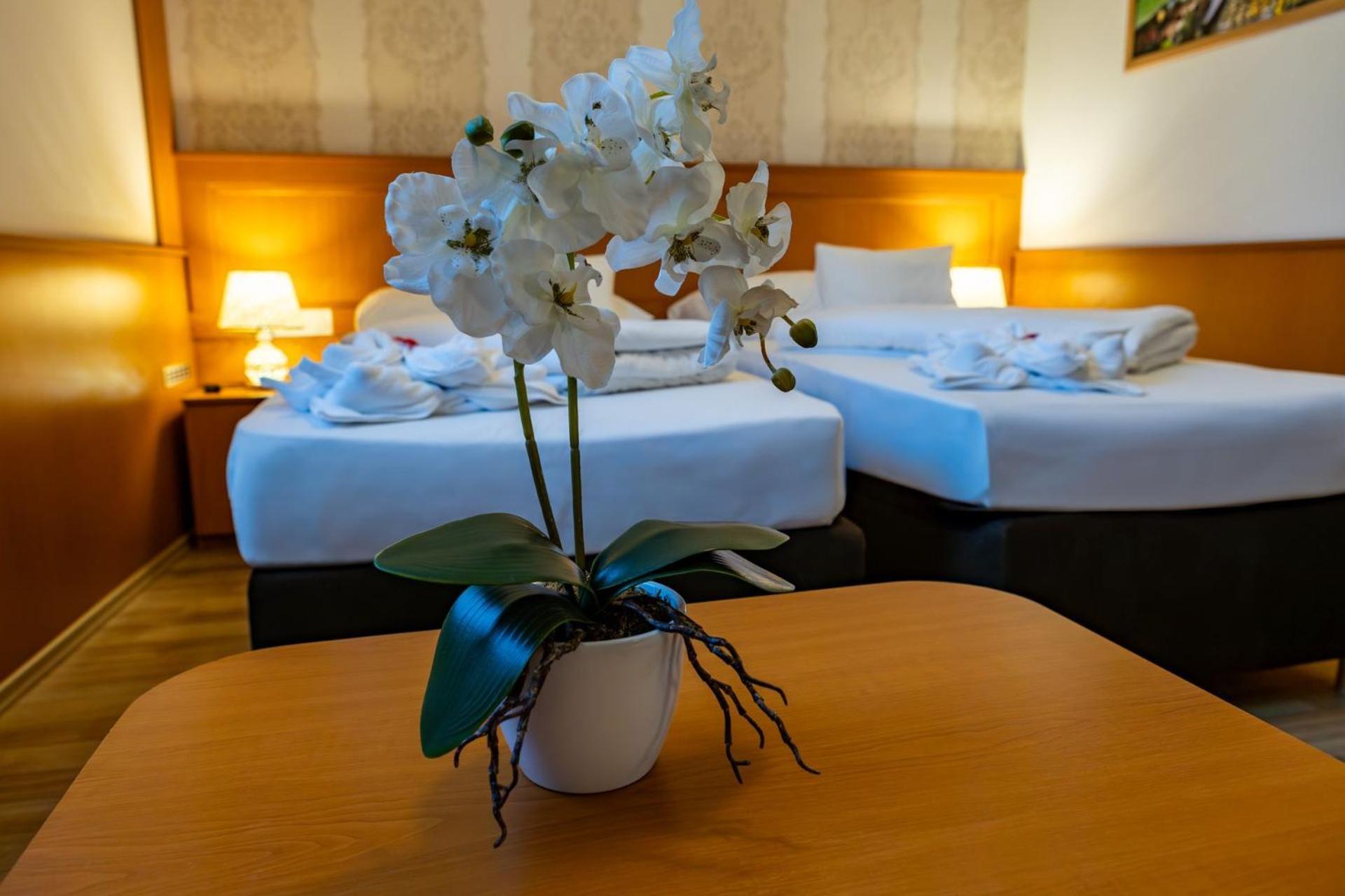 Hotel Barbakan Pécs Extérieur photo